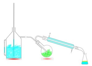 Wasserdampfdestillation